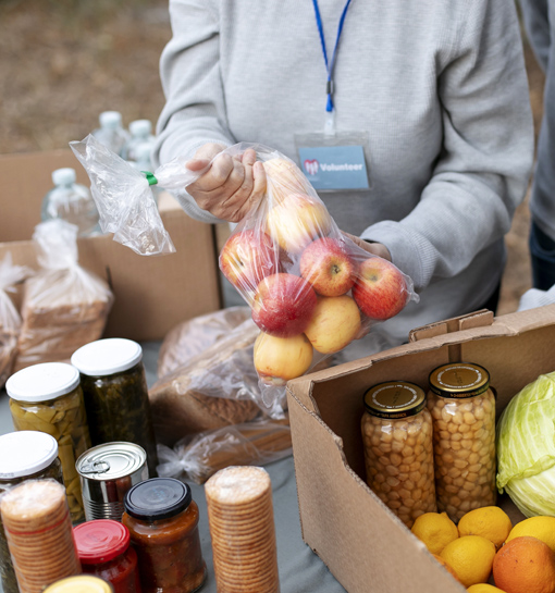 Exportação de alimentos