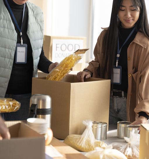 Importar alimentos