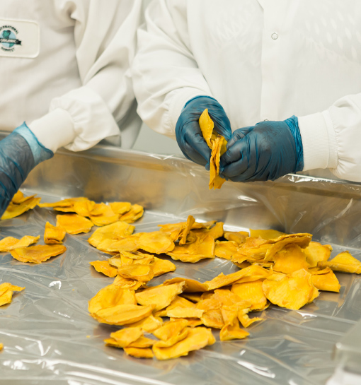 Industria de alimentos